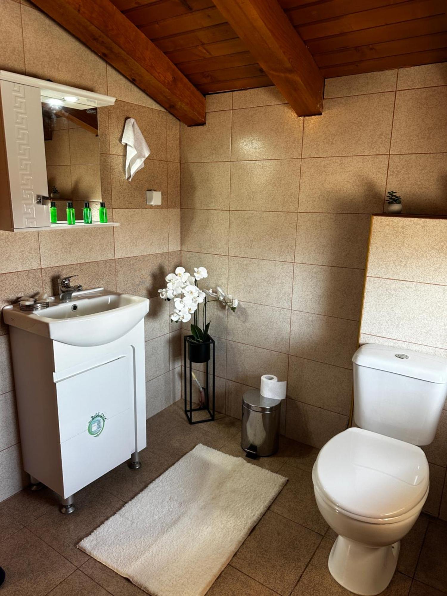 Snow House Hotel Bansko Buitenkant foto